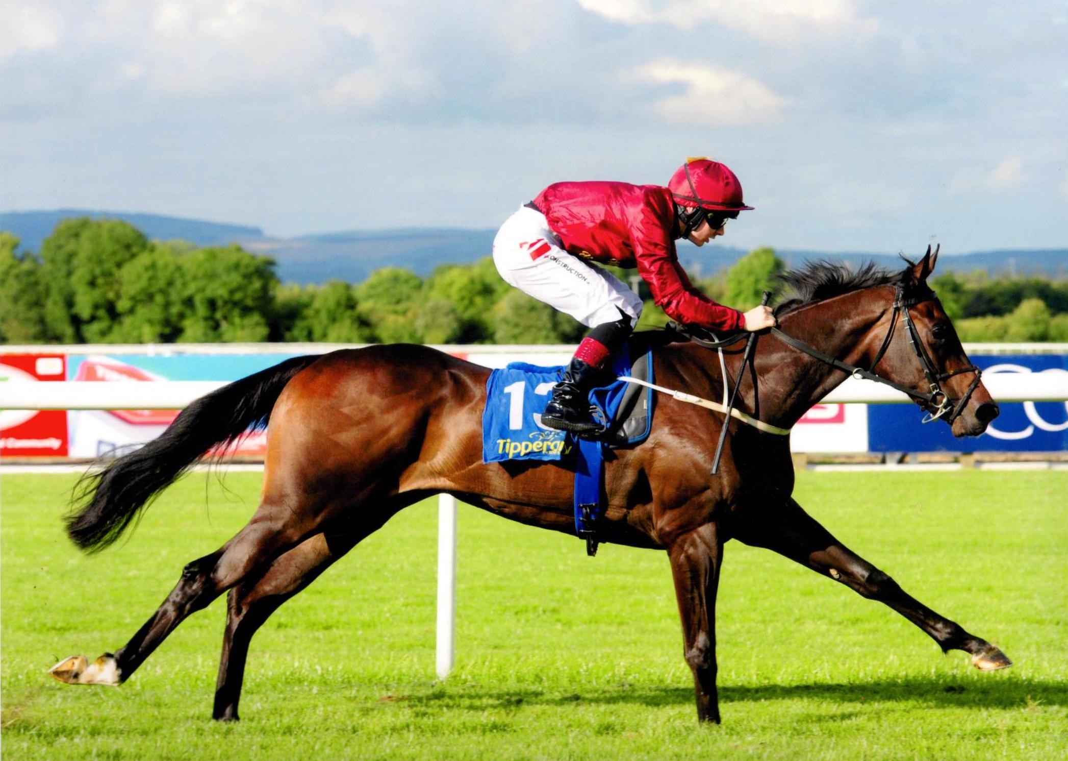 SWEET SOUNDS scores at Tipperary on debut 5th August 2016